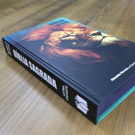 Bíblia Leão Pintura: Almeida Revista e Corrigida - imagem 2