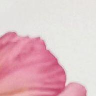Cortador Tulipa Crespa 3": Crie Flores Incríveis! - imagem 1
