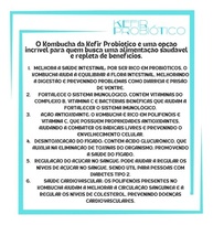 Scoby Kombucha Pronta Vidro 250ml + Kefir + Manual + Livro Receitas Cortesia - imagem 4