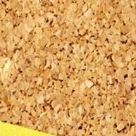 Tachinhas Percevejo: Fixação Perfeita em Quadros de Cortiça! - imagem 2