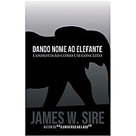 Cosmovisão Descomplicada: Dando Nome ao Elefante - imagem 1