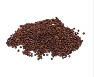 PIMENTA DA COSTA AFRICANA - 100 Gramas - imagem 2