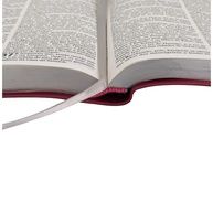 Bíblia ARC Pink: Letra Grande e Capa de Couro - imagem 2