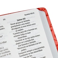 couro-letra-grande-elegante-sagrada-biblia-soft-verde-nvi-a