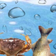 Covo Armadilha 90cm: Pegue Mais Peixes e Camarões! - imagem 1