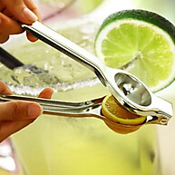 Espremedor Manual de Limão Aço Inox 21cm – Qualidade Suprema na Cozinha - imagem 1