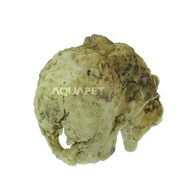 Crânio Neandertal em Resina - Réplica Anatômica Detalhada 5x4,5x3,5cm | Decoração Temática Pré-Histórica - imagem 3