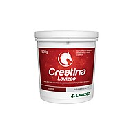 Creatina para Cavalos: Mais Energia e Performance! - imagem 1