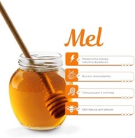 Bisnaga de Mel Cremoso Gold Medal Honey – 4x Medalhista de Ouro na Apimondia | Sabor Suave e Textura Aveludada | 100% Natural, Puro e Sem Aditivos | Ideal para Pães, Torradas e Sobremesas | 300g - imagem 3