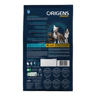 Ração Origens Filhote: Energia e Crescimento! - imagem 2
