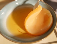 criacao-de-assessoria-kombucha-e-e-agua-kit-com-no-kefir-cultivo