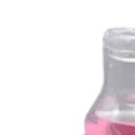 Copo de Treinamento Petita 270ml – Bico Silicone Antivazamento para Crianças - imagem 1