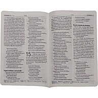 Bíblia Sagrada NAA com Letra Gigante e Harpa Cristã - imagem 2