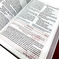 Bíblia da Mulher de Fé NVI – Inspiração Diária para Mulheres Cristãs - imagem 2