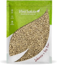 Semente De Girassol Crua sem Casca Viva Salute - 500g - imagem 1