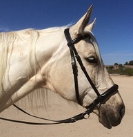 Cabresto Wonder Care Cruzamento de Couro Inglês Genuíno - Conforto e Controle para Seu Cavalo - imagem 3