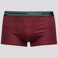 cueca-sunga-lupo-algodao-conforto-e-estilo