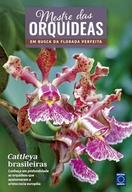 cultivo-cattleya-das-orquideas-mestre-brasileiras-a-e-a-perfeito-beleza-o-descubra-a