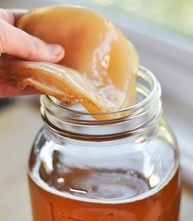 cultivo-de-assessoria-leite-com-kit-no-kefir-e-e-criacao-kombucha