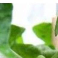 Pimenta Peter Pepper: Sementes TOPSEED para Cultivo! - imagem 2
