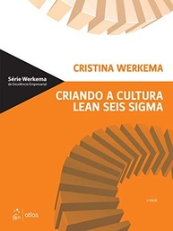 cultura-processos-a-seis-de-e-sigma-crie-aumente-lean-otimize-sucesso-uma-lucratividade-a