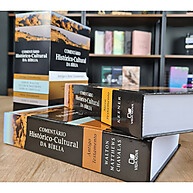 Bíblia Histórica: Entenda o Contexto Cultural - imagem 2