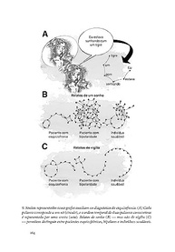 da-a-historia-a-sonhos-a-fascinante-oraculo-e-o-desvende-noite-ciencia-dos-a