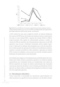 Sensoriamento Remoto da Vegetação: Domine a Análise com a 2ª Edição Atualizada - imagem 4