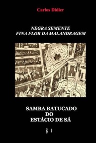 Descubra o Batucado do Estácio de Sá: A Alma do Samba Negra Semente, Fina Flor da Malandragem - imagem 2