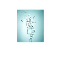 Dance Diamonds Shakira: O Perfume da Sua Dança - imagem 2