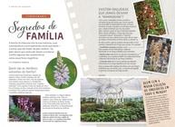 das-mestre-guia-de-orquideas-17-a-vol-completo-brasileiras-orquideas-micro-a