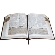 das-sintetico-adolescentes-capa-a-para-ntlh-couro-claro-biblia-descobertas-marrom-sbb-a