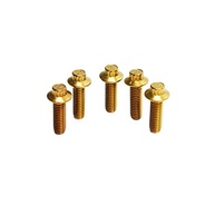 Parafusos Torx Dourados 12 Pontos Aço Inox - Rotor Freio Dianteiro Harley Davidson - imagem 5