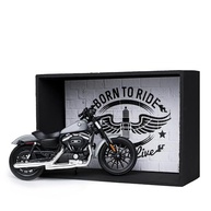 davidson-oficial-presente-a-kit-quadro-harley-miniatura-exclusivo-motociclista-e-expositor-a