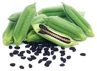 Grãos de Gergelim Natural Preto 170g - Sésamo Real - imagem 2