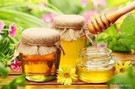 Mel de Eucalipto Orgânico Organic 200g - imagem 3