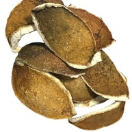 Casca de Laranja Amarga 500Gr - imagem 1