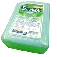 Essência de Eucalipto Concentrada 1L - Aromatização e Limpeza Potente para Sauna e Ambientes - imagem 3