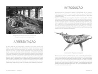Anatomia Artística 9: Mamíferos - Guia Completo de Morfologia Comparada para Artistas - imagem 4