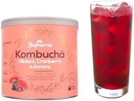 Kombucha Sabor Gengibre + Abacaxi E Hibisco + Cramberry 200gr 1 Pote de Cada - imagem 4