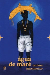 Água de Maré: Romance Poderoso sobre Identidade e Resistência - imagem 1
