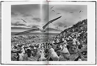 Genesis por Sebastião Salgado: Uma Carta de Amor à Terra em Fotografias Impactantes - imagem 5
