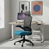 de-azul-a-lombar-vita-cadeira-ergonomica-escritorio-apoio-dt3-ajustavel-a