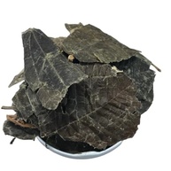 Canela de Velho 500Gr (Erva desidratada) - imagem 2