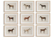 LOARTVE 9 Peças de Pôsteres de Cavalo Vintage - Arte de Parede Rústica para Decoração de Casa e Escritório - imagem 2