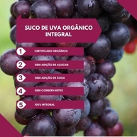 Suco De Uva Orgânico Integral Bordô De Cezaro - imagem 4