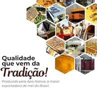 Bisnaga de Mel Escuro Gold Medal Honey - 5x Medalhista de Ouro na Apimondia | Linha Special Reserve Intenso | 100% Natural, Puro e Sem Aditivos | Ideal para Adoçar Bebidas e Usar em Receitas - imagem 2