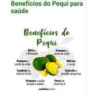 Óleo de Pequi Natural Puro do Norte de Minas Gerais 200ml - imagem 4