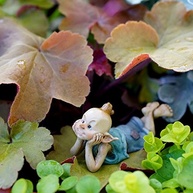 Miniatura de Fada Pixie com Terrário - Estátua Encantadora em Resina para Decoração - imagem 3