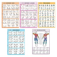 Pacote com 5 Pôsteres de Treino para Casa - Sem Equipamento | Ilustrações Coloridas para Exercícios de Peso Corporal, Yoga e Abdômen - imagem 1